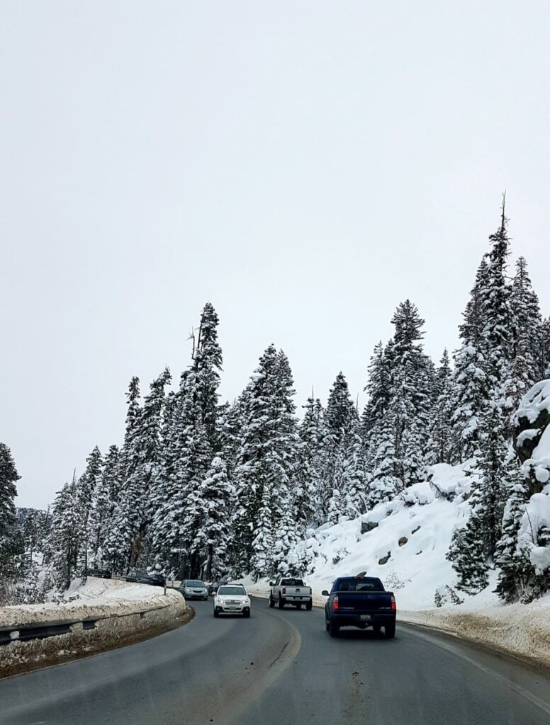 Estrada com carros e pinheiros altos cheios de neve em Lake Tahoe